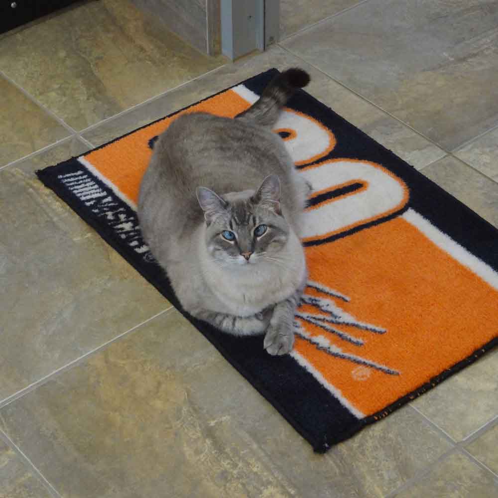 Cat on rug