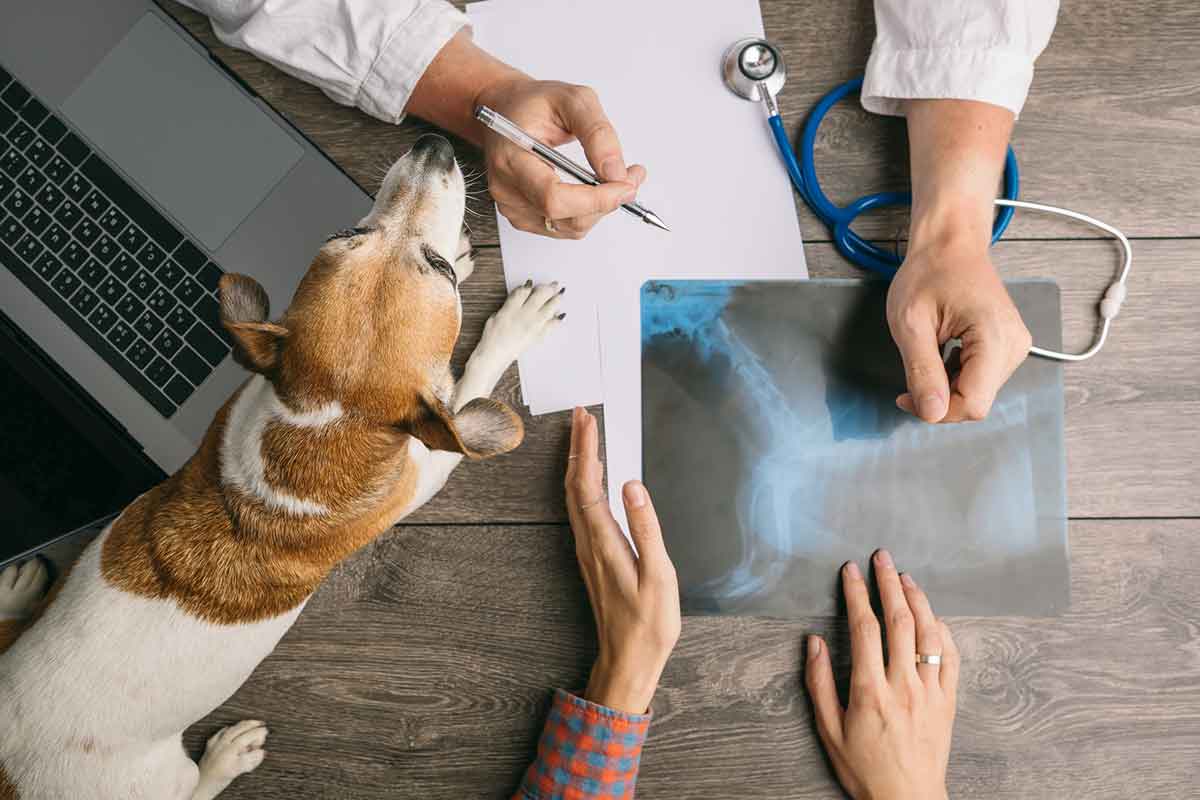 Accurate Diagnosis With Limited Wait Time Accurate Diagnosis With Limited Wait Time